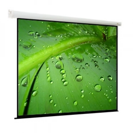 Экран моторизированный настенно-потолочного крепления Viewscreen EBR-4302