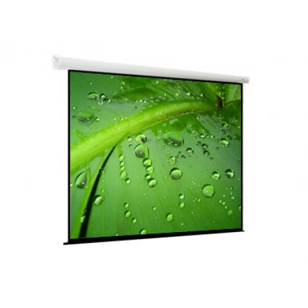 Экран моторизированный настенно-потолочного крепления Viewscreen EBR-4303
