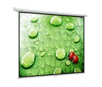 Экран ручной настенно-потолочного крепления Viewscreen Lotus NTSC (4:3) 491/201'' 406*305 (394*293) MW