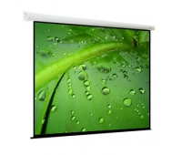 Экран моторизированный настенно-потолочного крепления Viewscreen EBR-1104