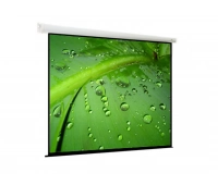Экран моторизированный настенно-потолочного крепления Viewscreen EBR-4305